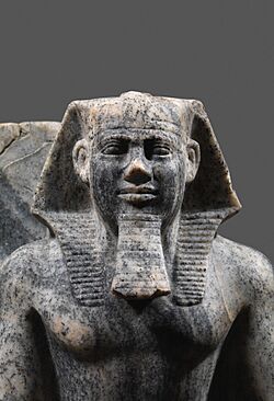 Closeup of the grey speckled stone statue of a man seated wearing a nemes and false beard