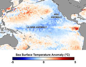 La Nina and Pacific Decadal Anomalies - April 2008