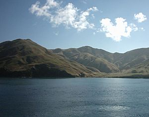 Marlborough Sounds From Ferry