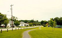 Mascot Park (right) and houses along a street in Mascot
