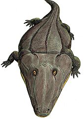 Mastodonsaurus3
