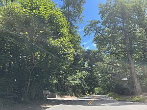 Middle Neck Road, Sands Point, NY August 13, 2022 C