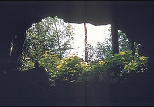 MinongMine