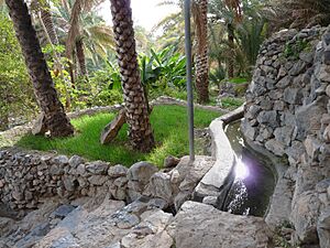 Misfah (6)