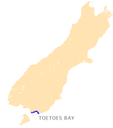 NZ-Toetoes B