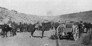 NZ Rifle Bde transport in Shrapnel Gully during the Battle of Tel el Khuweilfe