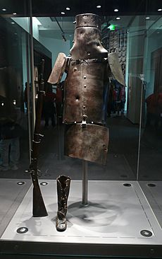Ned kelly armour library
