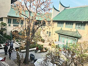 PAM courtyard