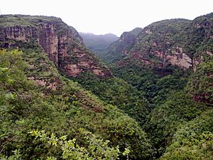 Pachmarhi valley Madhya Pradesh INDIA