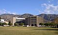 Pfau Library
