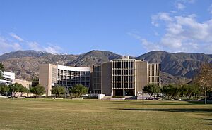 Pfau Library