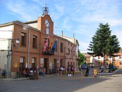 Plaza de Abia de las Torres 001