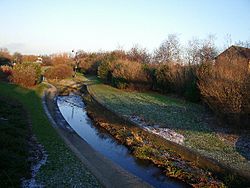 Pool River and National Cycle Route 21 - geograph.org.uk - 96626