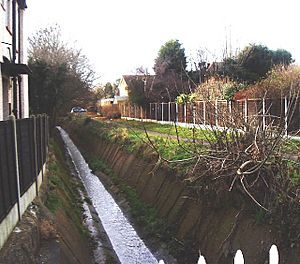Prittle Brook, Leigh-on-Sea - geograph.org.uk - 98105