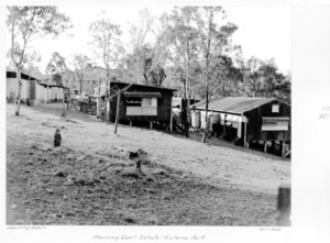 Queensland State Archives 4912 Housing Commission Estate Victoria Park October 1953