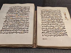 Quran 19th century Nigeria, Maghribi style, Boston Museum of Fine Arts