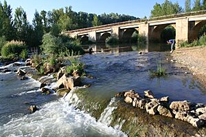 Río Cea por Mayorga