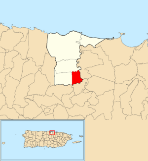 Location of Río Lajas within the municipality of Dorado shown in red