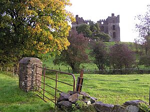 Raphoe Castle - geograph.org.uk - 1017810