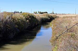 Rocky Ford Highline Canal at Nepesta