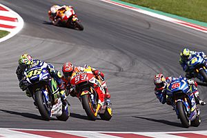 Rossi Marquez Vinales 2016