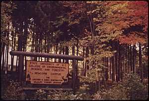 SIGN AT THE ENTRANCE TO THE STATE UNIVERSITY OF NEW YORK COLLEGE OF ENVIRONMENTAL SCIENCE AND FORESTRY IN THE... - NARA - 554693