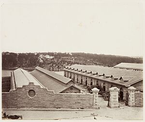 SLNSW 479528 25 Glebe Island Abattoirs SH 616