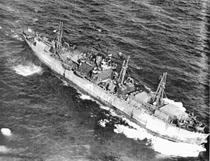 SS John W. Brown aerial photo