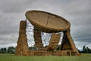 Snugburys Lovell Telescope straw sculpture 2007 10
