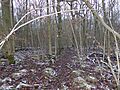 Stoke Wood End Quarter 3