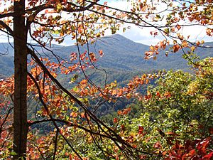 The Smoky Mountains, in Great Smoky Mountains National Park