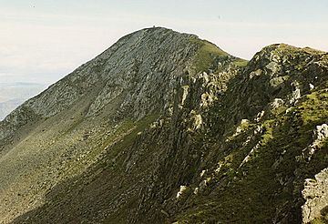 The summit of Moelwyn Mawr.jpg