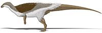 Thescelosaurus filamented.jpg