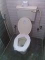 Toilet tissue roll on seat