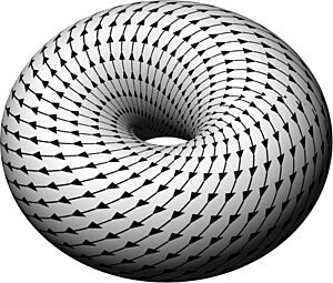 Torus vectors oblique