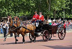 Trooping the Colour 2018 (13)