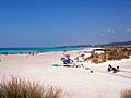Vada, Spiagge Bianche