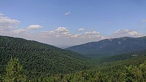 Valsaín Mounts, Guadarrama National Park (Spain)