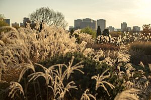 View from the East Garden in Daejeon Hanbat Arboritum, Daejeon, Korea