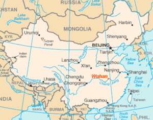 Wuhan location