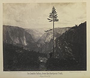 Yo-Semite Valley, from the Mariposa Trail by Charles L Weed, 1864