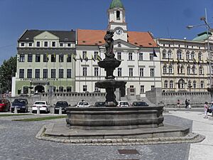 (TTO) Kašna se sochou Madony (Teplice) 3