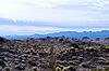 Turtle Mountains (California)