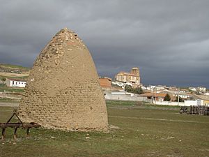 04g Torrecilla de la Abadesa cabocha Ni.JPG