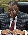 2020 Hage Geingob