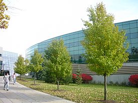 Academic A, School of Management, Binghamton University