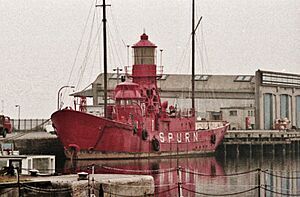 Albert Dock, Kingston upon Hull - geograph.org.uk - 3395419
