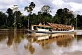 Amazon River Taxi