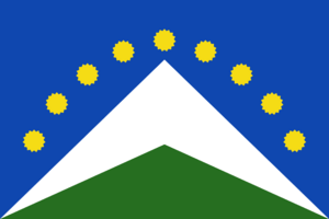 Bandera Junín