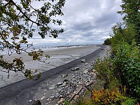 Beach from bluff at Captain Cook.jpg